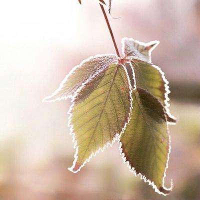 三亚房地产信息截图